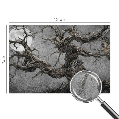 Modern fotótapéta Titokzatos bagoly