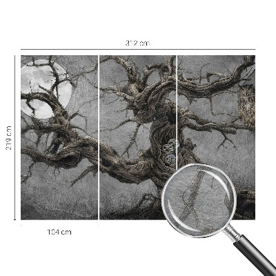 Modern fotótapéta Titokzatos bagoly