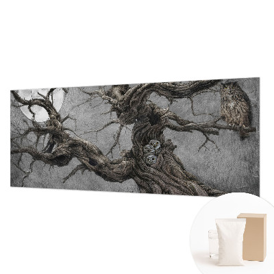 Modern fotótapéta Titokzatos bagoly