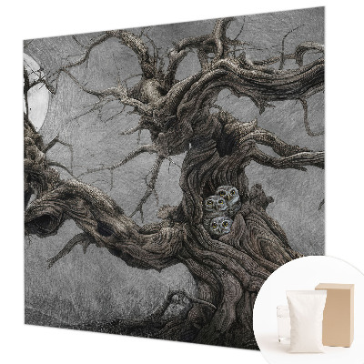 Modern fotótapéta Titokzatos bagoly