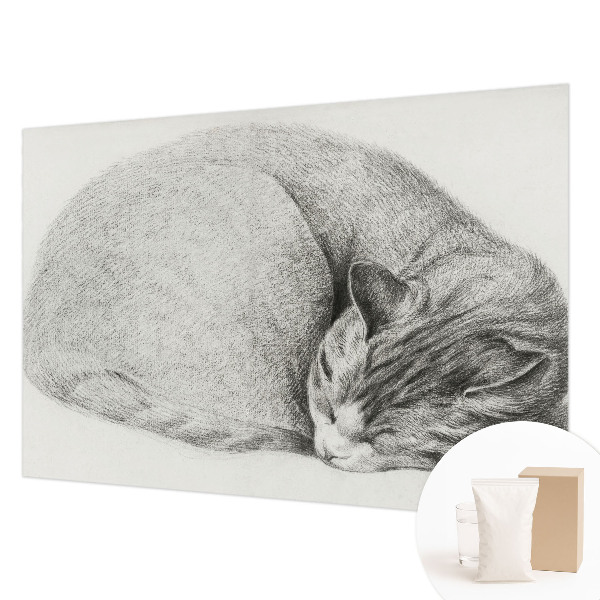 Dekoratív fotótapéta nappaliba Összegömbölyödött macska