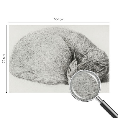 Dekoratív fotótapéta nappaliba Összegömbölyödött macska