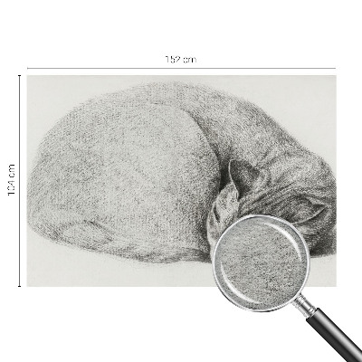 Dekoratív fotótapéta nappaliba Összegömbölyödött macska