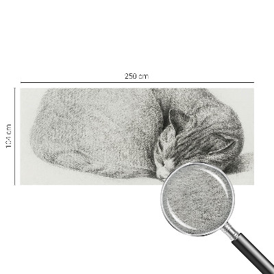 Dekoratív fotótapéta nappaliba Összegömbölyödött macska