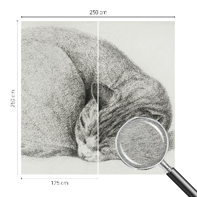 Dekoratív fotótapéta nappaliba Összegömbölyödött macska