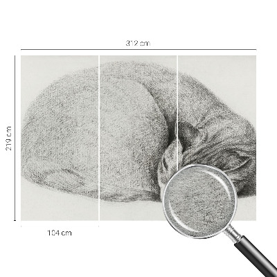 Dekoratív fotótapéta nappaliba Összegömbölyödött macska