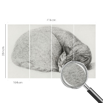 Dekoratív fotótapéta nappaliba Összegömbölyödött macska