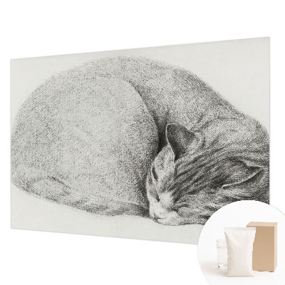 Dekoratív fotótapéta nappaliba Összegömbölyödött macska