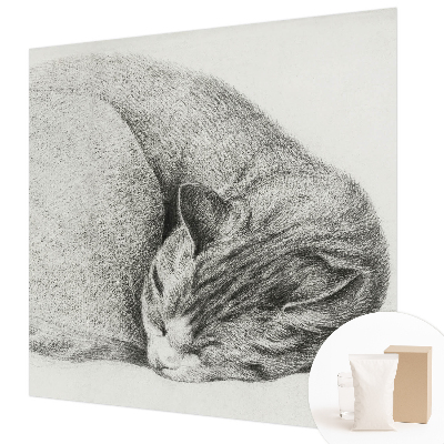 Dekoratív fotótapéta nappaliba Összegömbölyödött macska
