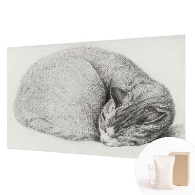 Dekoratív fotótapéta nappaliba Összegömbölyödött macska