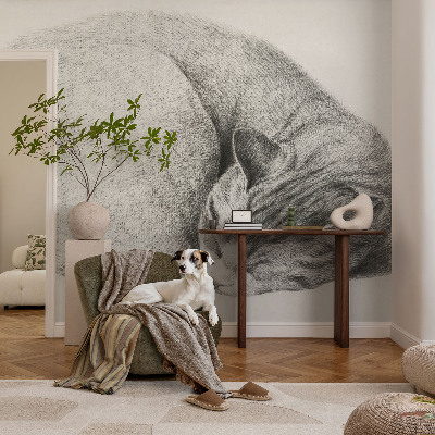 Dekoratív fotótapéta nappaliba Összegömbölyödött macska