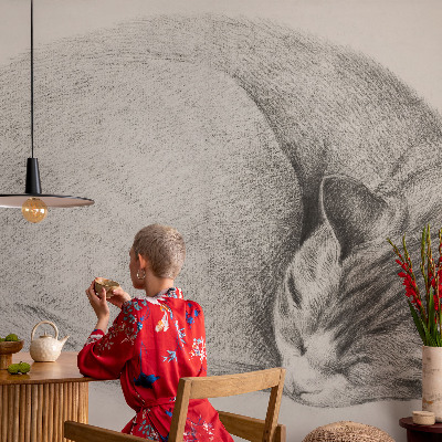 Dekoratív fotótapéta nappaliba Összegömbölyödött macska