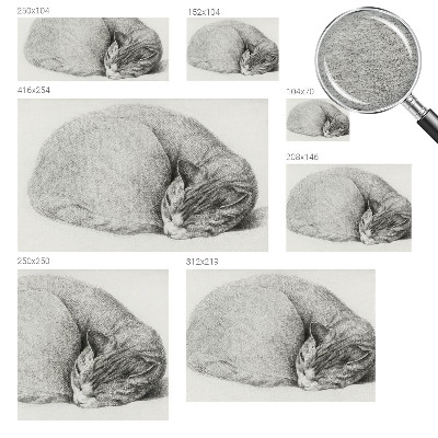 Dekoratív fotótapéta nappaliba Összegömbölyödött macska