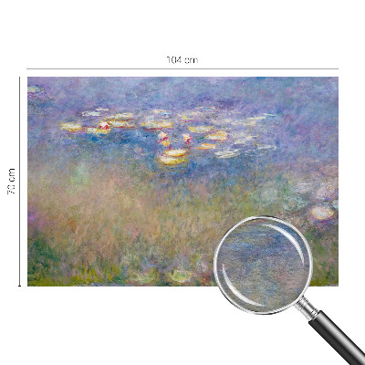 Fényképes tapéta Tavirózsák