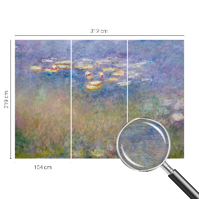 Fényképes tapéta Tavirózsák