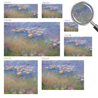 Fényképes tapéta Tavirózsák