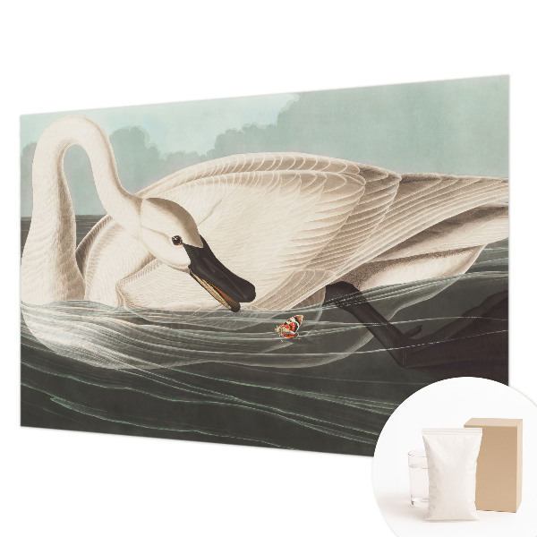 Vlies fotótapéta A természet harmóniája