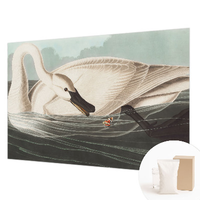 Vlies fotótapéta A természet harmóniája