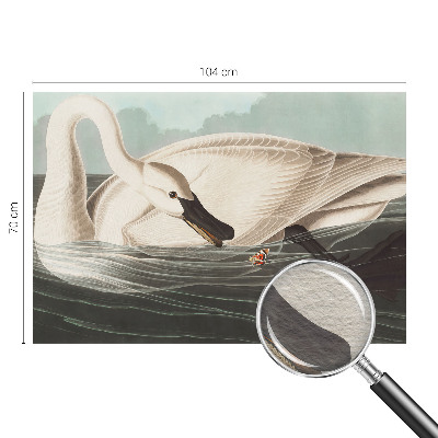 Vlies fotótapéta A természet harmóniája