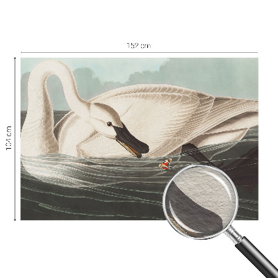 Vlies fotótapéta A természet harmóniája