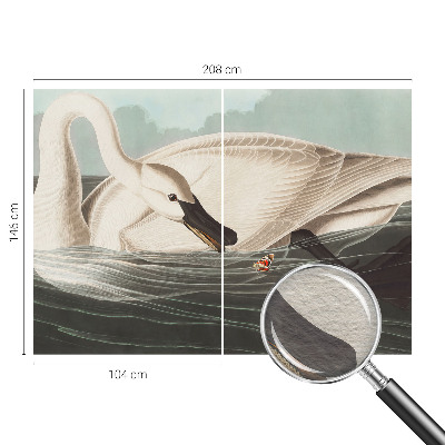 Vlies fotótapéta A természet harmóniája