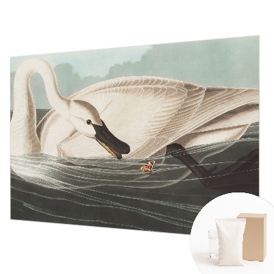 Vlies fotótapéta A természet harmóniája