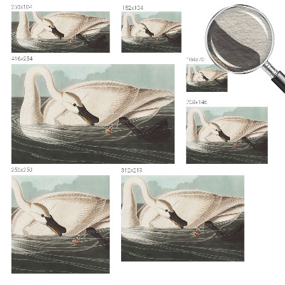 Vlies fotótapéta A természet harmóniája