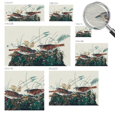 Flíz fotótapéta A természet varázsa