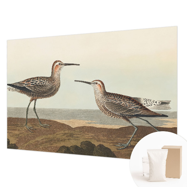 Fotótapéta méretre nappaliba Madár sziluettek