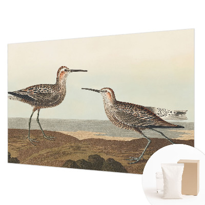 Fotótapéta méretre nappaliba Madár sziluettek