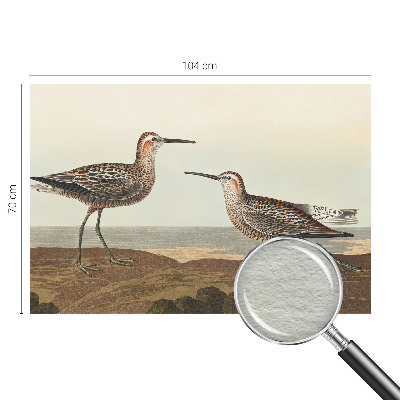 Fotótapéta méretre nappaliba Madár sziluettek