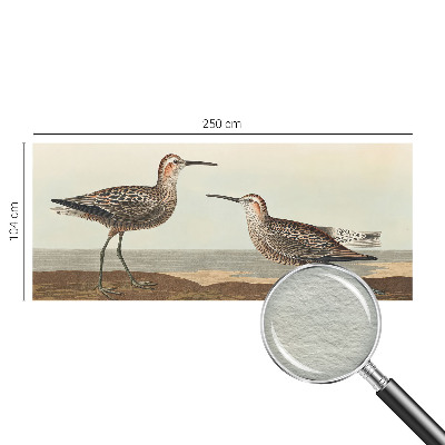 Fotótapéta méretre nappaliba Madár sziluettek