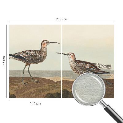 Fotótapéta méretre nappaliba Madár sziluettek