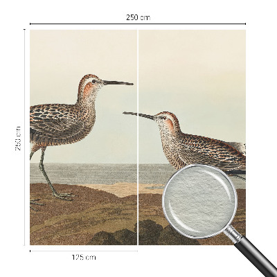 Fotótapéta méretre nappaliba Madár sziluettek