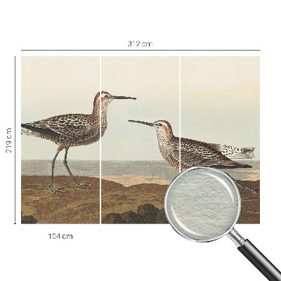 Fotótapéta méretre nappaliba Madár sziluettek