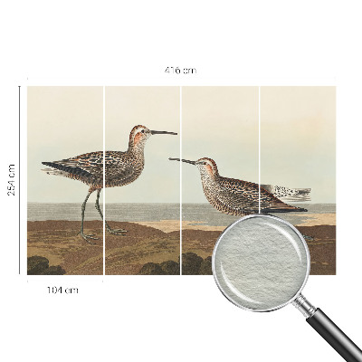 Fotótapéta méretre nappaliba Madár sziluettek