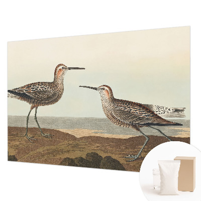 Fotótapéta méretre nappaliba Madár sziluettek