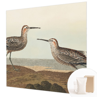 Fotótapéta méretre nappaliba Madár sziluettek