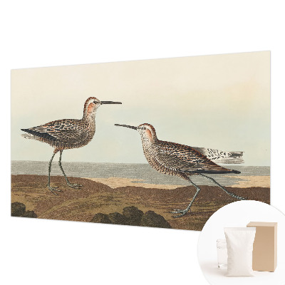 Fotótapéta méretre nappaliba Madár sziluettek