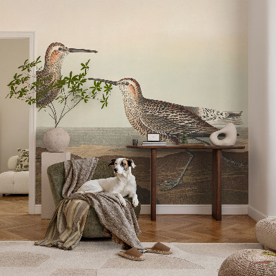 Fotótapéta méretre nappaliba Madár sziluettek