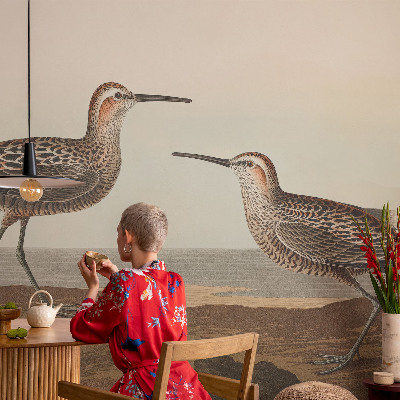 Fotótapéta méretre nappaliba Madár sziluettek