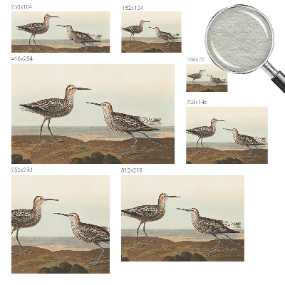 Fotótapéta méretre nappaliba Madár sziluettek