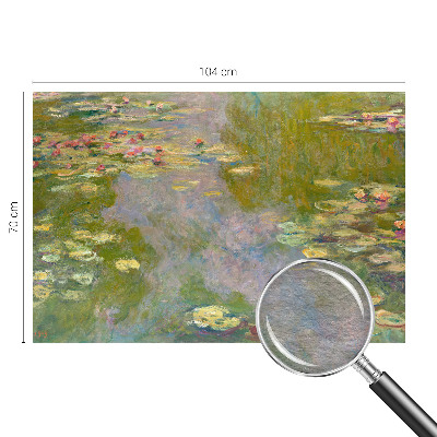 Vlies fotótapéta hálószobába Tavirózsák