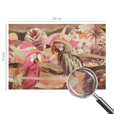 Poszter tapéta Trópusi madarak