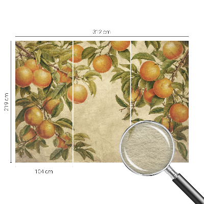 Fotótapéta nappaliba Gyümölcságak