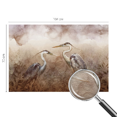 Fotó poszter tapéta Elegáns madarak