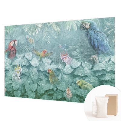 Poszter tapéta falra Egzotikus madarak