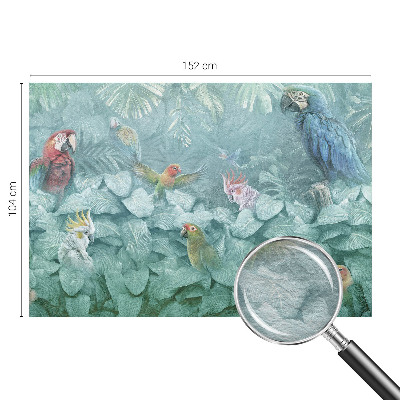 Poszter tapéta falra Egzotikus madarak