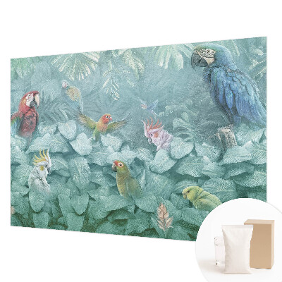 Poszter tapéta falra Egzotikus madarak