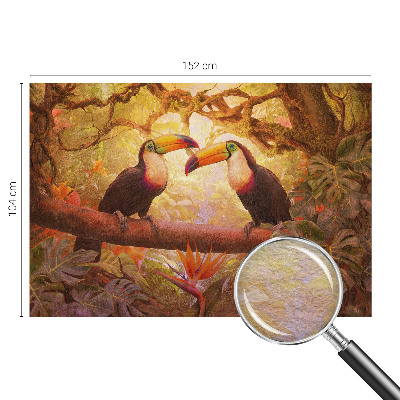 Dekoratív fotótapéta nappaliba Színes tukánok